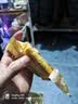 比比赞（BIBIZAN）咸蛋黄蛋卷760g/约24包120根夹心饼干糕点心整箱办公室休闲零食品 实拍图