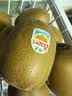 佳沛（zespri）新西兰金奇异果15粒巨大果146-175g猕猴桃水果礼盒 实拍图