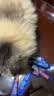 LEGENDSANDY蓝氏全价主食猫条肉-FUN肉满条湿粮猫零食成猫幼猫鲜肉猫湿粮罐头 【新客尝鲜】肉满条6支+咕咕条5支 实拍图