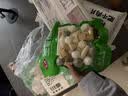 安井火锅全家福400g*4撒尿肉丸鱼豆腐鱼丸蟹柳麻辣烫关东煮火锅食材 实拍图