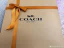 蔻驰（COACH）【品牌直供】女包Nolita麻将包单肩腋下包奶茶色CW426生日礼物 实拍图
