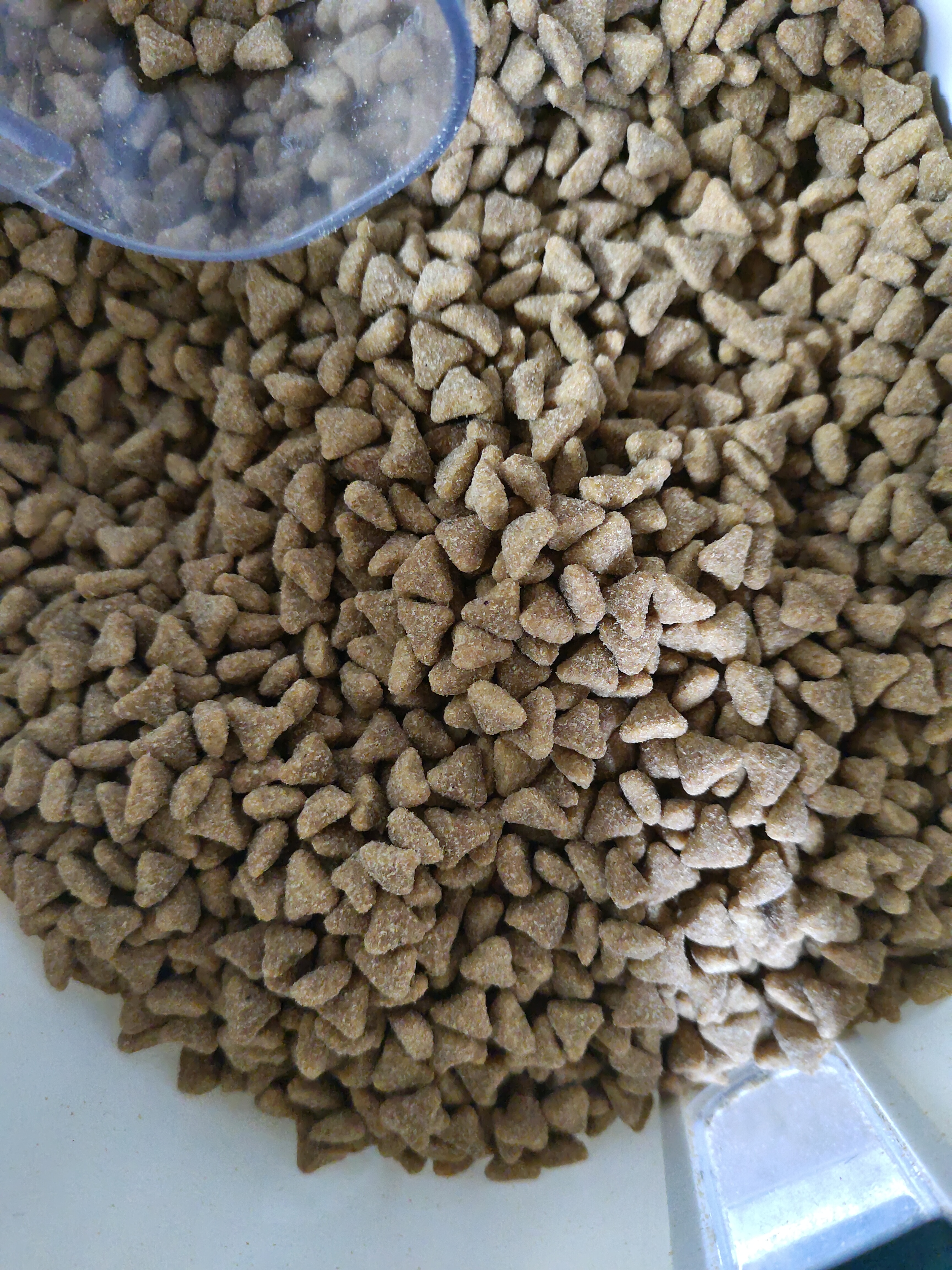 宝路狗粮 成犬狗粮中大中小型犬 牛肉味全价狗粮4kg 实拍图