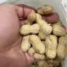 比比赞（BIBIZAN）龙岩花生蒜香味500g/袋每日坚果炒货带壳干果小吃下酒休闲零食品 实拍图