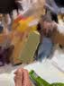 伊利心情低糖绿豆雪糕冰淇淋（70克*5支） 实拍图