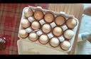 七鲜可生食鲜鸡蛋15枚750g 实拍图