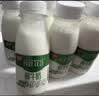 燕塘 鲜致牧场鲜牛奶 210ml*12瓶 3.3g蛋白 低温鲜牛奶整箱 营养早餐 实拍图