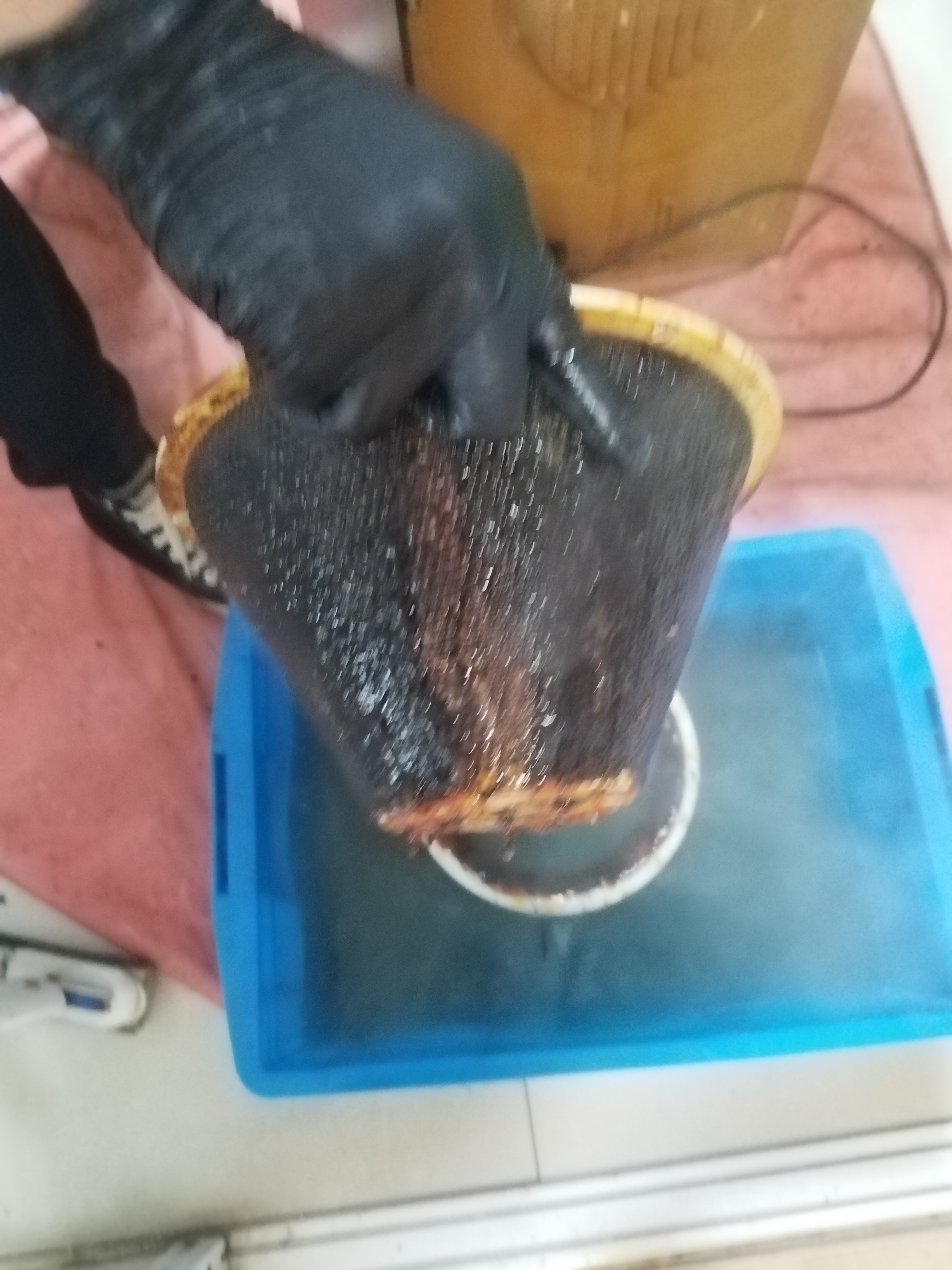 京东家政清洗 油烟机全拆洗+燃气灶清洗家电清洗上门服务清洁保养 实拍图