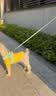 皇家狗粮 幼犬狗粮 宠物 小型犬 MIJ31 全价犬粮 2-10月 2KG 实拍图
