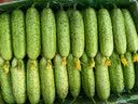 京鲜生 山东童年旱黄瓜 净重5斤 单果100g+ 水果小青瓜 轻食 源头直发 实拍图