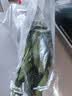 大菠菜300g 实拍图