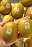 佳沛（zespri）新西兰金奇异果12粒特大果124-146g猕猴桃水果礼盒 实拍图