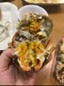 【活蟹】湖鲜阳澄 大闸蟹 去绳足重 全母蟹2.3-2.6两 8只 鲜活超大螃蟹海鲜水产礼盒装 实拍图