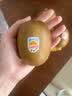 佳沛（zespri）新西兰金奇异果15粒巨大果146-175g猕猴桃水果礼盒 实拍图