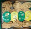佳沛（zespri）新西兰金奇异果12粒特大果124-146g猕猴桃水果礼盒 实拍图