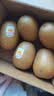 佳沛（zespri）新西兰金奇异果猕猴桃 5粒装 单果约88-103g 水果源头直发 实拍图