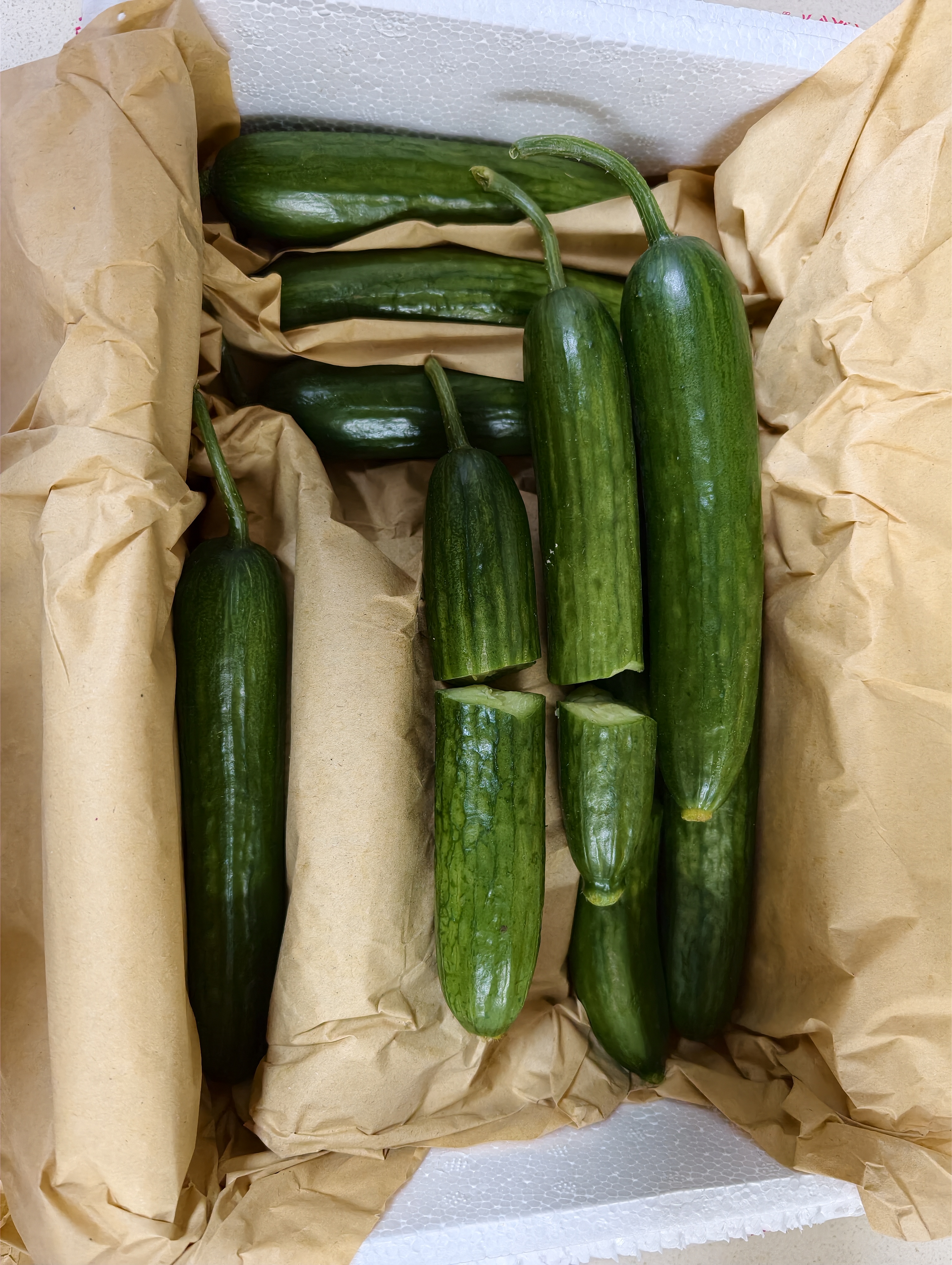 京觅山东荷兰水果黄瓜 净重4.5斤 单果70g+ 健康轻食水果源头直发包邮 实拍图