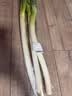【火锅季】去根大葱500g（平均葱白长度≥30cm） 实拍图