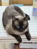美士全价冻干双拼成猫猫粮 4.5kg 8%原切冻干 实拍图