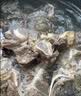 天海藏进口原切牛脊骨净重5斤肉含量40%-45%牛蝎子牛肉源头直发 实拍图