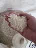 鄱阳湖农家香米25kg 籼米江西丝苗米50斤炒饭食堂量贩猫牙大米非真空 实拍图