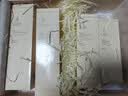 袋鼠妈妈面霜敏肌可用备孕补水滋润护肤品小麦胚芽水润倍护保湿霜15g 实拍图