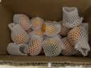 京鲜生 阳丰脆柿甜柿新鲜柿子 净重8.5斤 单果100g+ 新鲜水果源头直发 实拍图