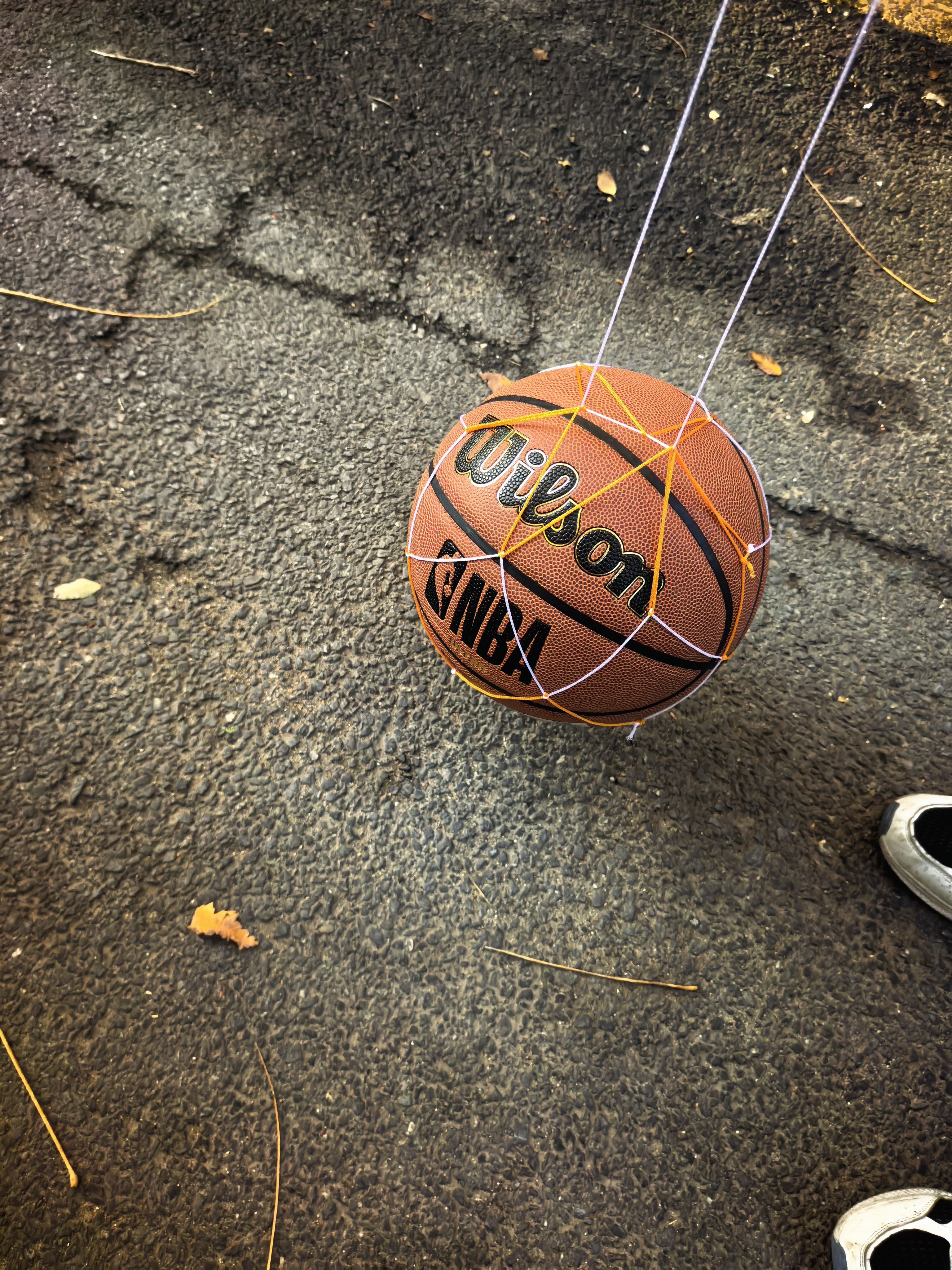 威尔胜NBA比赛篮球耐磨PU标准7号球(贈5件套·订场券) 实拍图
