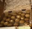 佳沛（zespri）新西兰金奇异果22粒巨大原箱146-175g猕猴桃水果礼盒 实拍图
