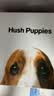 暇步士（Hush Puppies）皮带男腰带牛皮自动扣商务休闲裤带精致礼盒装生日礼物送男友  实拍图