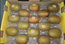 佳沛（zespri）新西兰金奇异果10个装单果重103-114g猕猴桃水果礼盒 实拍图