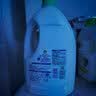 滴露（Dettol）衣物消毒液除菌松木3L衣服消毒水99.9%杀菌除螨内衣裤 需搭洗衣液 实拍图