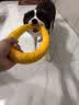 HELLOJOY狗狗玩具大型犬互动圆环金毛浮水拉环狗球磨牙耐咬狗解闷逗狗神器 实拍图