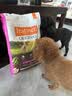 instinct天然百利狗粮进口无谷鸡肉小型犬专用犬粮11磅/5kg[27年11月] 实拍图