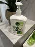 滴露（Dettol）洗手液抑菌滋润茉莉绿茶500g 儿童洗手液消毒 滋润护手米奇米妮版 实拍图