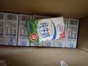伊利【新鲜日期】纯牛奶250ml*24盒 3.3g优质乳蛋白早餐奶 8-10月 实拍图