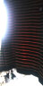 索宛亦（SUOWANYI） 冬季加绒加厚棉的T恤女长袖2021秋季新款减龄中年中年大妈条纹 驼黑条纹 1891(长)袖 3XL / 125-140斤 晒单实拍图