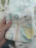好奇（Huggies）小森林纸尿裤M50片(6-11kg)尿不湿心钻【纯净0添加】 实拍图