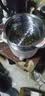 美的（Midea）电煮锅 0涂层不锈钢 宿舍小电锅 多功能家用宿舍泡面小火锅 2.6L蒸煮一体电热锅 XZC2066G 配蒸笼 实拍图