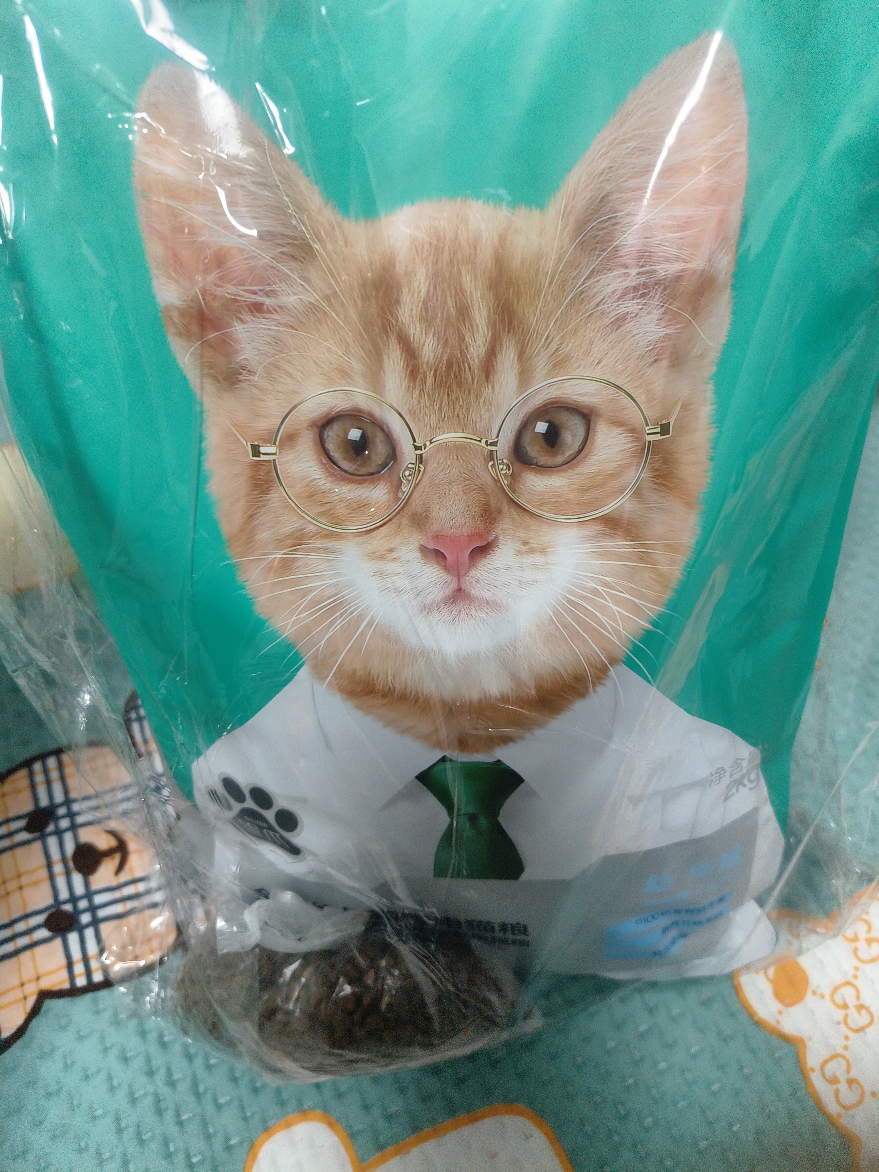 凯锐思猫粮鲜肉奶糕幼猫粮4-12月助免疫鲜肉冻干双拼幼猫粮4斤 实拍图