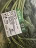 叶菜拼盘500g(菠菜叶+蒿子秆+生菜叶+娃娃菜) 实拍图