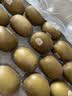 佳沛（zespri）新西兰金奇异果22粒巨大原箱146-175g猕猴桃水果礼盒 实拍图