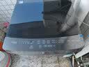 美的（Midea）波轮洗衣机全自动家用 10公斤 1.268高洗净比 除菌螨MB10V56T 以旧换新 补贴 京东自营 出租房宿舍 实拍图