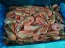 美加佳加拿大海藻头熟冻北极甜虾净重3斤 规格90/120  送礼 火锅聚餐 实拍图