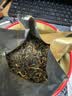 张一元茶叶特级云南滇红茶浓香型新茶金芽红茶75g罐装中国元素系列 罐装 75g 1罐 云南滇红 实拍图