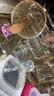 世喜新生婴幼儿舌苔刷0-6个月-1岁宝宝刮奶渍清洁器软硅胶口腔清理棒 实拍图