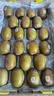 佳沛（zespri）新西兰金奇异果22粒巨大原箱146-175g猕猴桃水果礼盒 实拍图