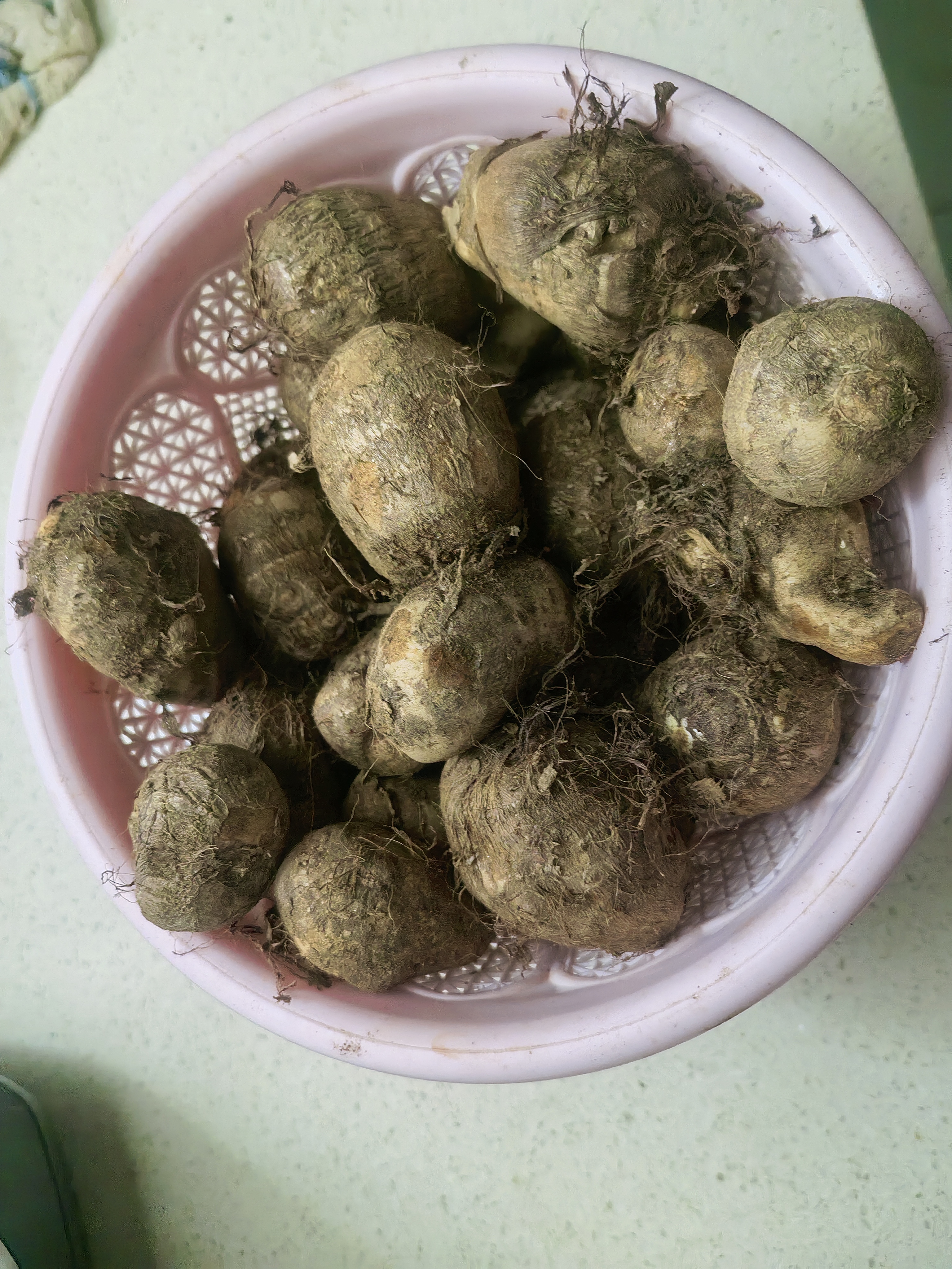 正宗山东牛奶小芋头礼盒芋头芋艿香糯新鲜现挖当季蔬菜过节送礼 牛奶小芋头带箱2斤 实拍图