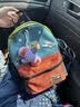 SHUKIKU儿童书包幼儿园一年级书包小学生背包男女生户外旅游双肩包橙红M 实拍图
