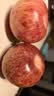 京鲜生新疆恐龙蛋 李子 特级 净重3斤单果70g+ 新鲜水果 源头直发包邮 实拍图