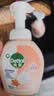 滴露（Dettol）泡沫洗手液西柚香250ml 消毒抑菌99.99% 儿童泡泡玻尿酸非补充装 实拍图